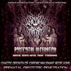 Postcoital Ulceration : Pre-Album Promo 2013